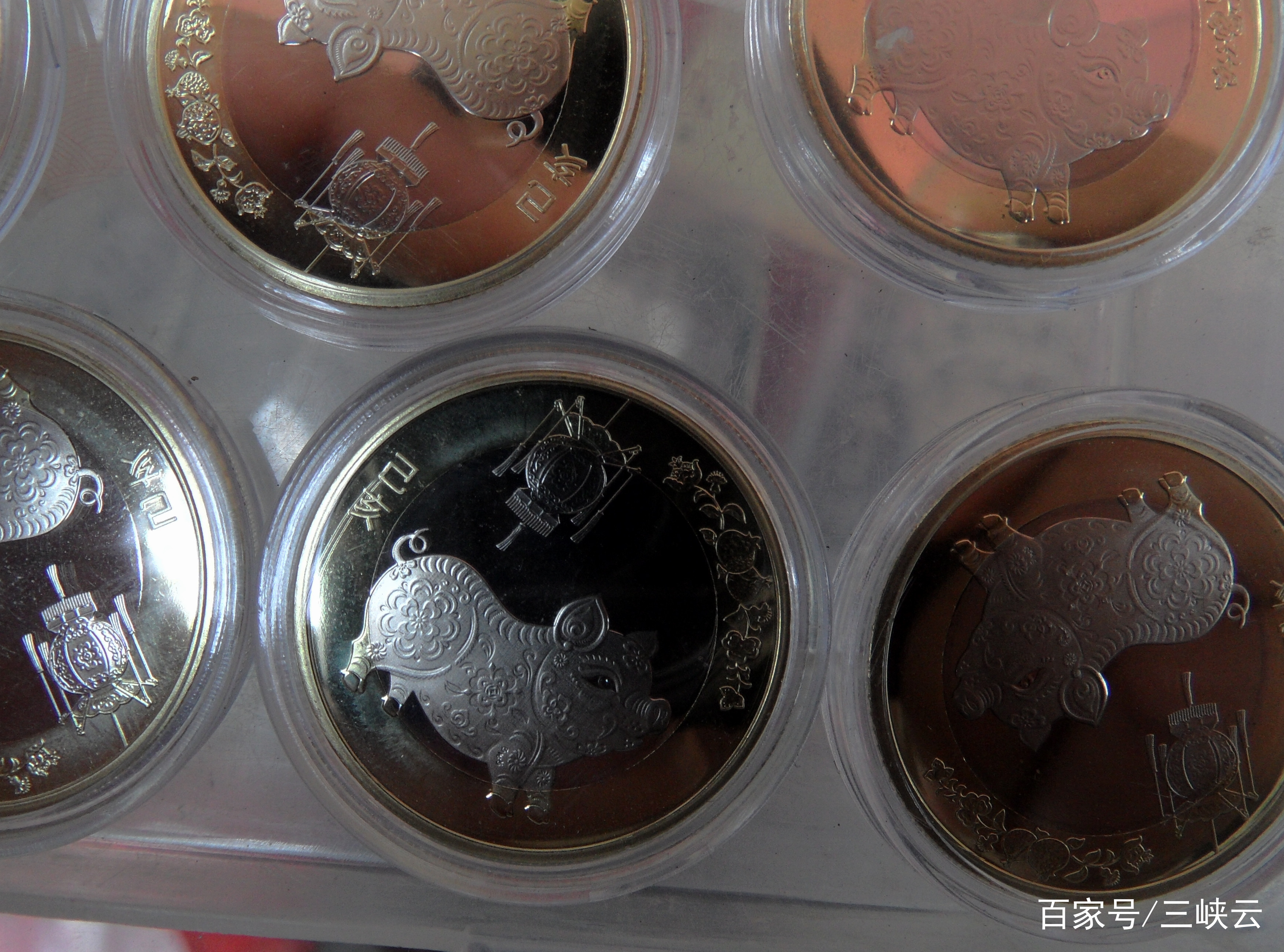 猪年纪念币最新价格及市场行情分析