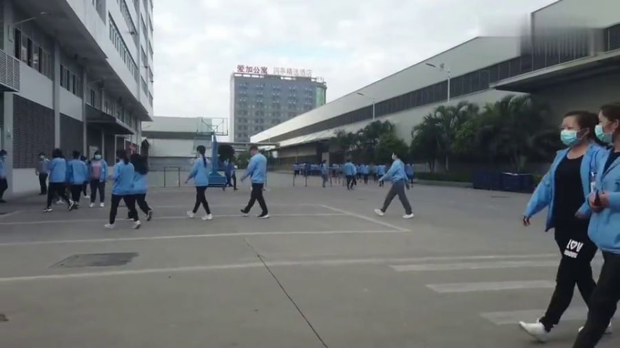 最新沈阳男女工厂招聘，深度探讨与观点阐述