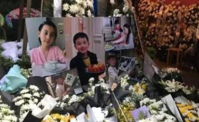 保姆纵火案最新进展，心灵之旅，探寻内心宁静与自然的怀抱