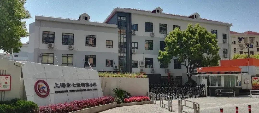 最新社会现象观察与某某观点探析报告，最新统计揭示的洞察